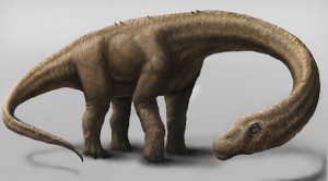 Rendering of a Dreadnoughtus schrani in life.  (Credit: Mark A. Klingler, Carnegie Museum of Natural History)