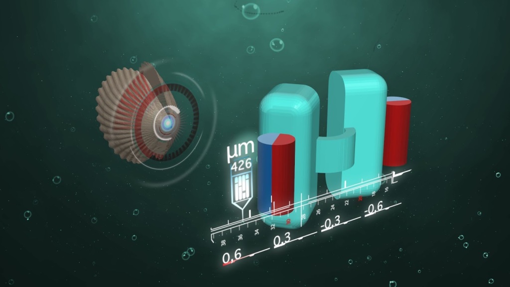 On the left, a schematic drawing of a scallop and the opening/closing motion that moves it forward. On the right, a 3D model of the sub-millimetre size ‘micro-scallop’ robot with the ‘shell’ in teal and the magnets used to activate it in red and blue (Image credit: Alejandro Posada, Max Planck Institute)