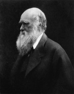 The Darwin Awards, named after Charles Darwin, recognize individuals who have positively contributed to human evolution by accidentally removing themselves from the process of natural selection through their own actions. (Photo credit:  Julia Margaret Cameron, via Wikimedia Commons).