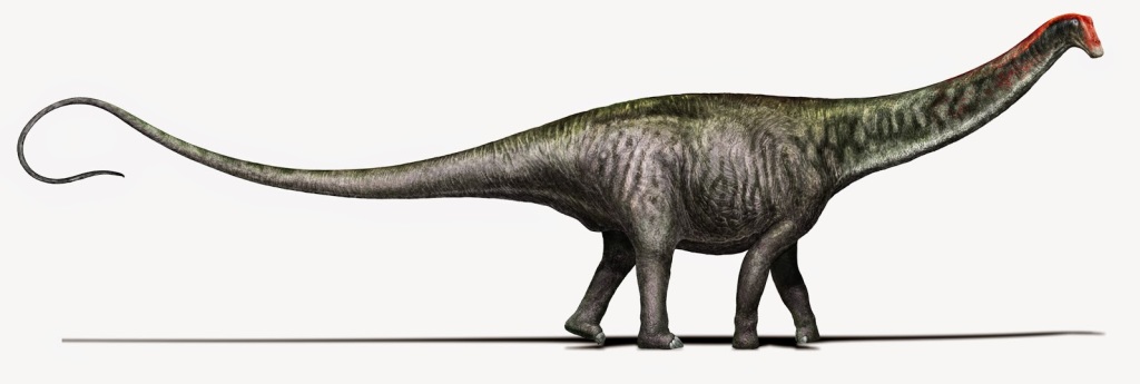 Brontosaurus artistic reconstruction (Credits: Davide Bonadonna, Creative commons license CC- BY NC SA)