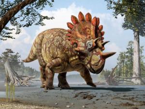 This is an artistic life reconstruction of the new horned dinosaur Regaliceratops peterhewsi in the palaeoenvironment of the Late Cretaceous of Alberta, Canada. (Credit: Art by Julius T. Csotonyi. Courtesy of Royal Tyrrell Museum, Drumheller, Alberta.)