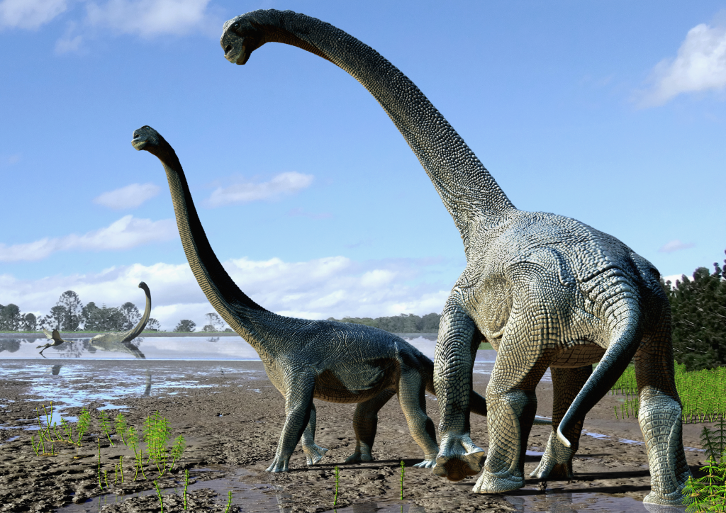 Life restoration of Savannasaurus elliottorum based on the type specimen (“Wade”). (Image by Travis Tischler / © Australian Age of Dinosaurs Museum of Natural History)