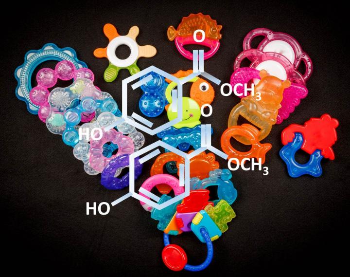 A new study has found that teethers contain BPA and other potentially endocrine-disrupting compounds that can leach out at low levels. (Image by American Chemical Society)