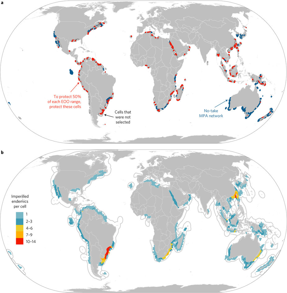 Species conservation targets; locations for MPA creation or expansion to protect 50% of the geographic range of all 99 imperilled endemic chondrichthyans (using Marxan): planning units selected (red); planning units not selected (white); and planning units currently designated as a no-take MPA (blue). b, Hotspots; global locations of the highest numbers of imperilled endemic chondrichthyans within a country’s national waters (EEZ). Warm colours represent areas with high numbers of overlapping imperilled and endemic chondrichthyans, cool colours show where there are fewer numbers of species per cell. Hottest hotspot countries are those with 4–14 imperilled endemics per grid cell.  (Davidson, L. N. K. & Dulvy, N. K.)