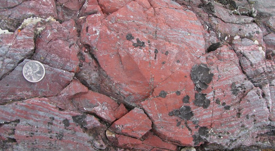 This iron-rich and silica-rich rock from Nuvvuagittuq Supracrustal Belt, Québec, Canada, contains tubular and filamentous microfossils. (Image by Dominic Papineau)