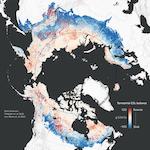 map credit: Greg Fiske / Woodwell Climate Research Center