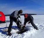 Photo credit: Ted Ozersky