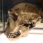 CREDIT: FERNANDO LOSADA RODRÍGUEZ (ROTATED)