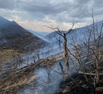 burnt hillside with mountains beyond. Photo credit: Philip Lee, Unsplash