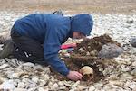 Antropologist Douglas Stenton excavating a gravesite of a member of Franklin's crew. Photo: Douglas Stenton, University of Waterloo