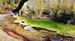 Algae-laden stream with a section that is rust red. Acidic seepages linked to thawing permafrost are releasing toxic metals and caused “rusting” of streams in the central Yukon; credit: Matt Lindsay, University of Saskatchewan